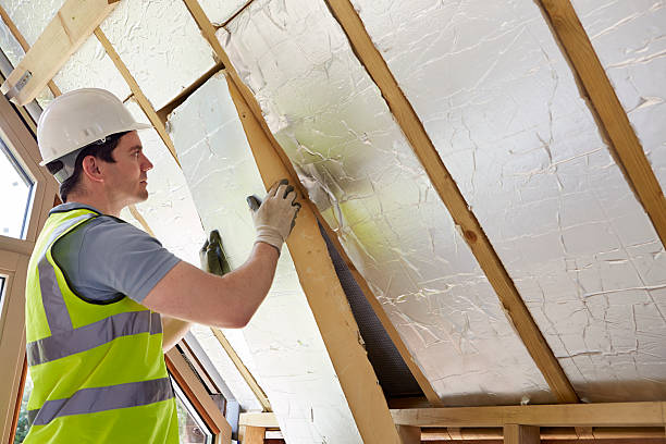 Professional Insulation Contractor in Avimor, ID