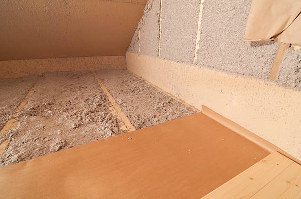 Best Eco-Friendly Insulation in Avimor, ID